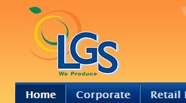 Case Study: LGS Sales Case Study: LGS Sales