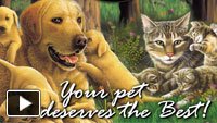 View video PetGuard Video